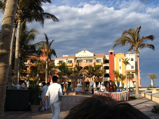 IMG_9868.JPG