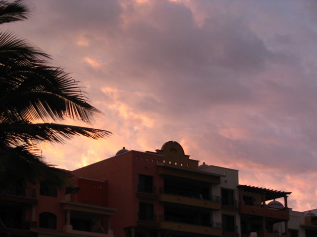 IMG_9890.JPG